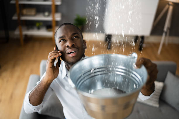 Best Water damage restoration services  in Artesia, NM