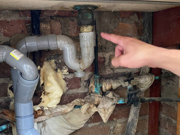 Water damage restoration mold remediation in Artesia, NM
